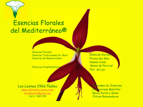Home Page Image