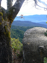 Home Page Image
